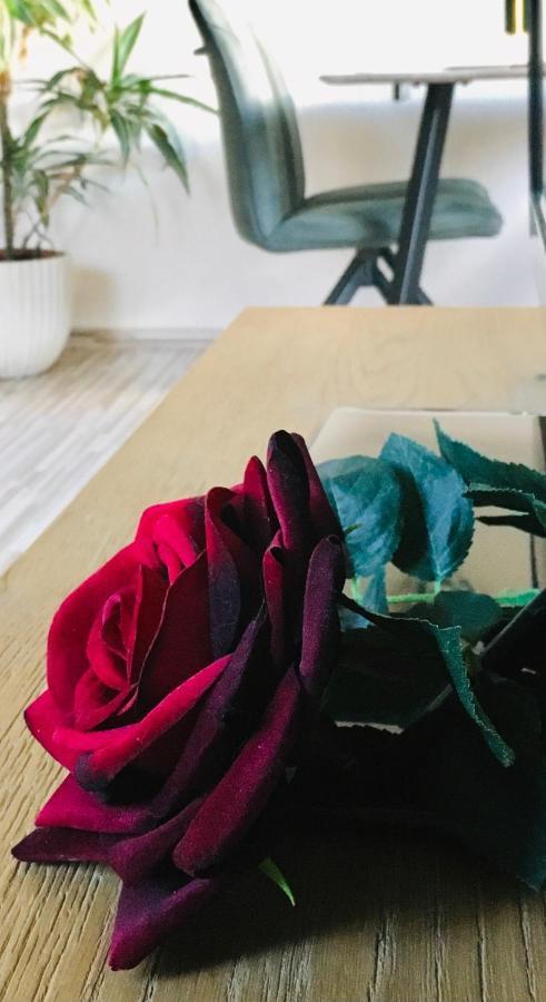 Haus Rose Apartment Рибниц-Дамгартен Екстериор снимка